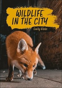 bokomslag Reading Planet KS2: Wildlife in the City - Earth/Grey