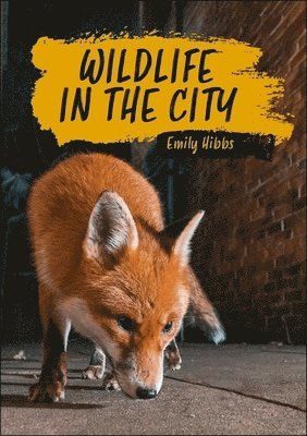 Reading Planet KS2: Wildlife in the City - Earth/Grey 1