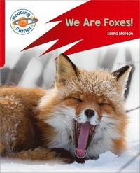 bokomslag Reading Planet: Rocket Phonics - Target Practice - We Are Foxes - Red A