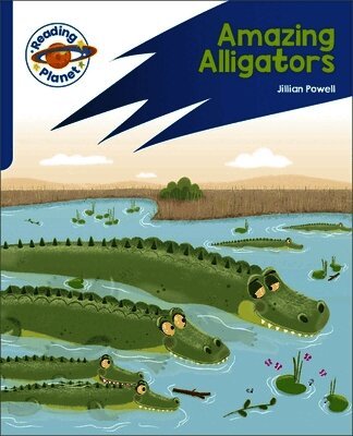 Jillian Powell - Reading Planet: Rocket Phonics – Target Practice - Amazing Alligators - Blue, Häftad