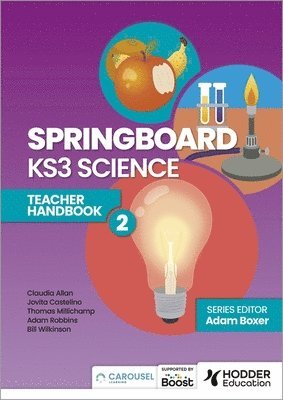 bokomslag Springboard: KS3 Science Teacher Handbook 2