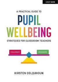bokomslag Practical Guide to Pupil Wellbeing: Strategies for classroom teachers