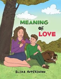 bokomslag Meaning of Love