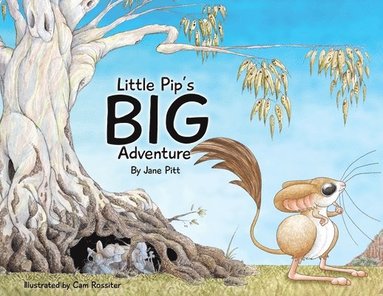 bokomslag Little Pip's Big Adventure