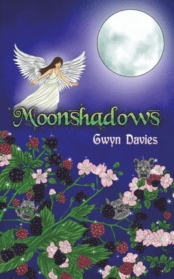 bokomslag Moonshadows