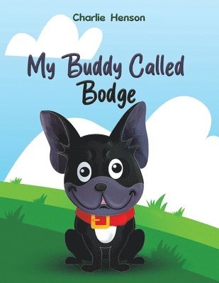 My Buddy Called Bodge 1