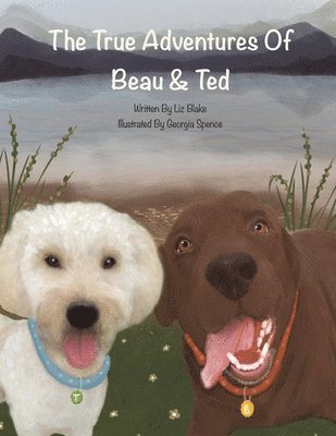 True Adventures of Beau and Ted