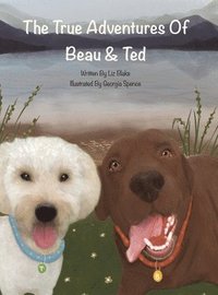 bokomslag The True Adventures of Beau and Ted