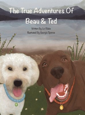 The True Adventures of Beau and Ted 1