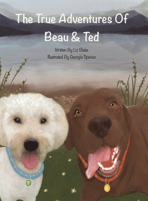 Liz Blake - True Adventures of Beau and Ted, Inbunden