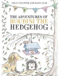 bokomslag The Adventures of Houdini the Hedgehog