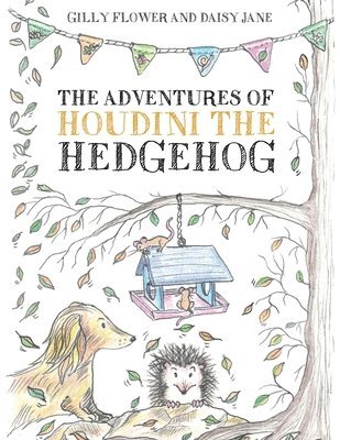 bokomslag Adventures of Houdini the Hedgehog