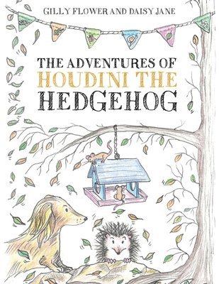 The Adventures of Houdini the Hedgehog 1