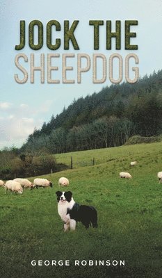 George Robinson - Jock the Sheepdog, Inbunden