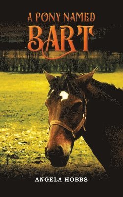 Angela Hobbs - Pony Named Bart, Häftad