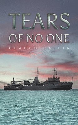 bokomslag Tears of No One