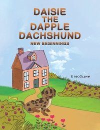 bokomslag Daisie the Dapple Dachshund