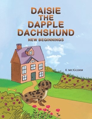 Daisie the Dapple Dachshund 1