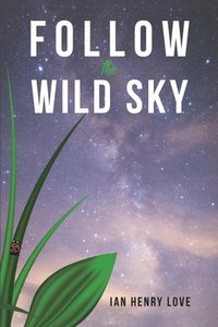 bokomslag Follow The Wild Sky