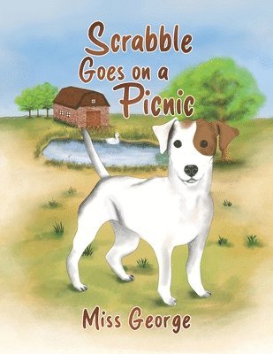 bokomslag Scrabble Goes on a Picnic