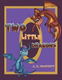 bokomslag Two Little Dragons