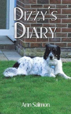 Dizzy's Diary 1