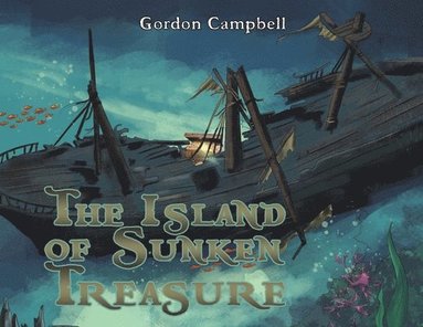bokomslag Island of Sunken Treasure