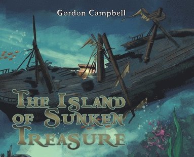 bokomslag Island of Sunken Treasure