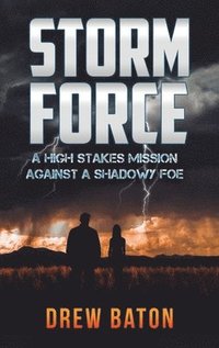 bokomslag Storm Force