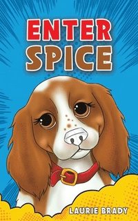 bokomslag Enter Spice