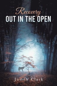 bokomslag Recovery: Out in the Open