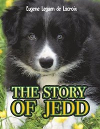 bokomslag The Story of Jedd