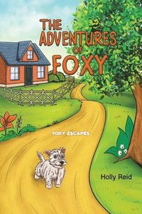 bokomslag The Adventures of Foxy