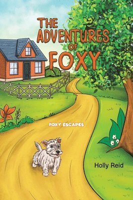 Holly Reid - Adventures of Foxy, Häftad