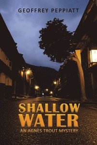 bokomslag Shallow Water