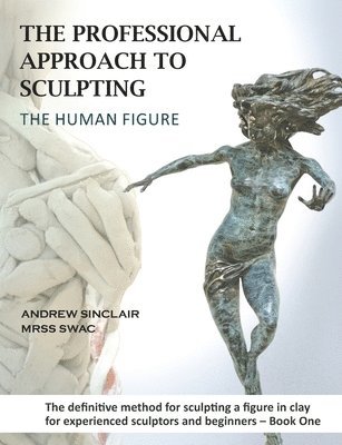 bokomslag Professional Approach to Sculpting the Human Figure