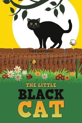 The Little Black Cat 1