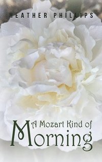 bokomslag Mozart Kind of Morning