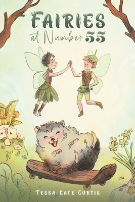 bokomslag Fairies at Number 55