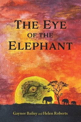Gaynor Bailey, Helen Roberts - Eye of the Elephant, Häftad