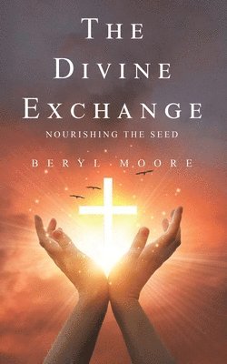 bokomslag Divine Exchange