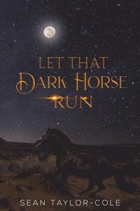 bokomslag Let That Dark Horse Run