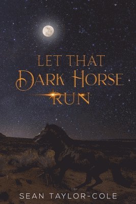 bokomslag Let That Dark Horse Run