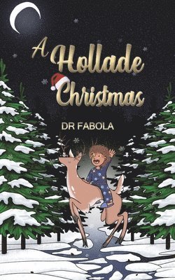 bokomslag Hollade Christmas