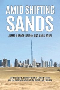 bokomslag Amid Shifting Sands