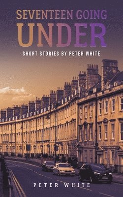 Peter White - Seventeen Going Under, Häftad