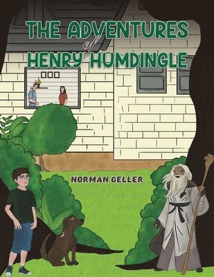bokomslag Adventures of Henry Humdingle
