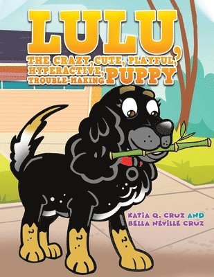 Katia Q. Cruz, Bella Neville Cruz - Lulu, the crazy, cute, playful, hyperactive, trouble-making puppy, Häftad