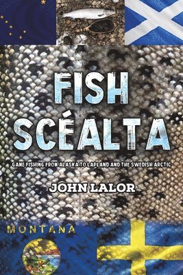 bokomslag Fish Scéalta