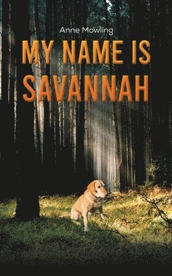 bokomslag My Name is Savannah